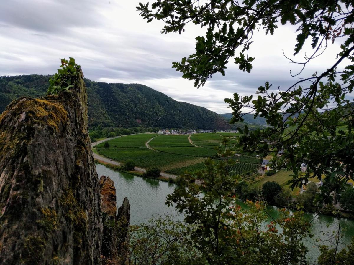Weingut Pension Hammes-Krueger เอลเลนซ์-พอลเทอร์สดอร์ฟ ภายนอก รูปภาพ